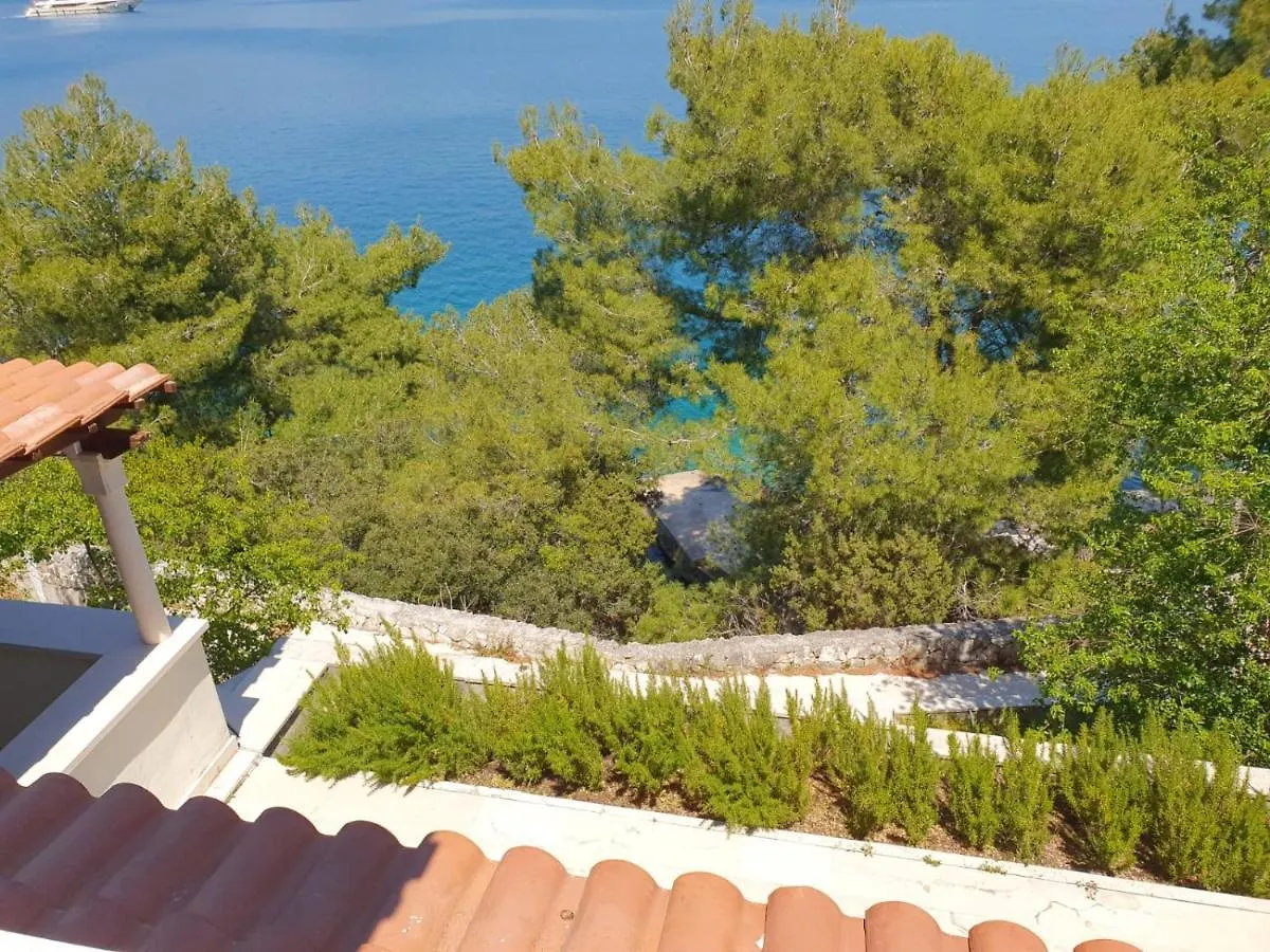Seafront House Nusha Villa Donji Okrug  Croatia