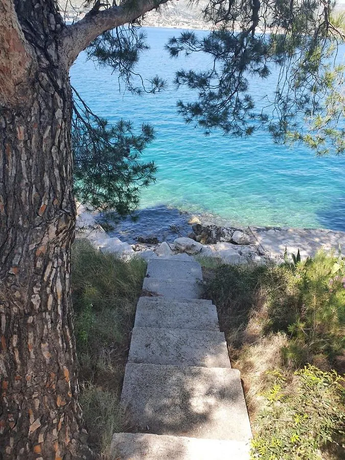 Villa Seafront House Nusha Donji Okrug  0*, Donji Okrug (Ciovo)